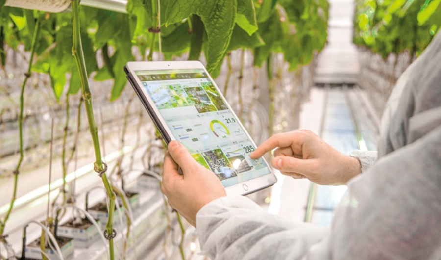 Agricultura tecnología busca recuperar cultivos que hoy se pierden en la región