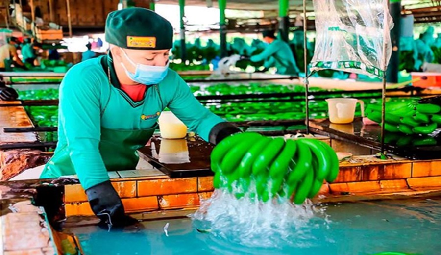 Agroexportaciones superaron los US$ 6,730 millones en los primeros siete meses del año