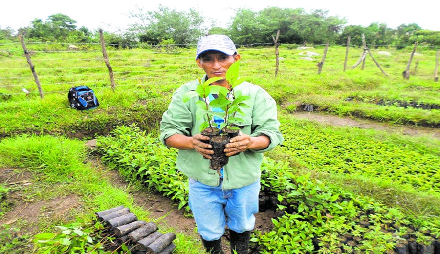 Apuesta para el futuro. Reforestación, eficiencia y reciclaje del recurso hídrico