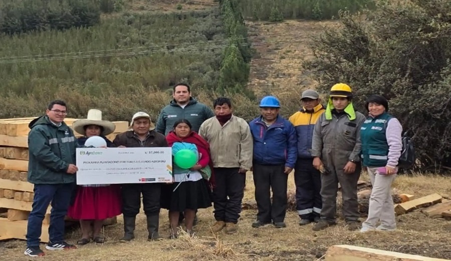 Cajamarca Serfor facilita a productores forestales acceso a recursos al Fondo Agroperú