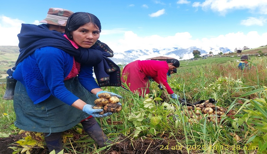 Chugay impulsa producción sostenible con proyecto de agricultura regenerativa premiado a nivel nacional