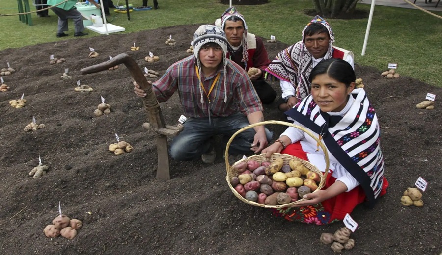 Día de la Agricultura conoce las zonas de agrobiodiversidad y su importancia para el Perú
