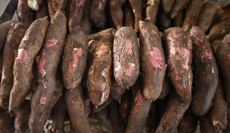 En los mercados mayoristas hubo ofertas de yuca, camote, cebolla, piña, plátano mandarina y otros