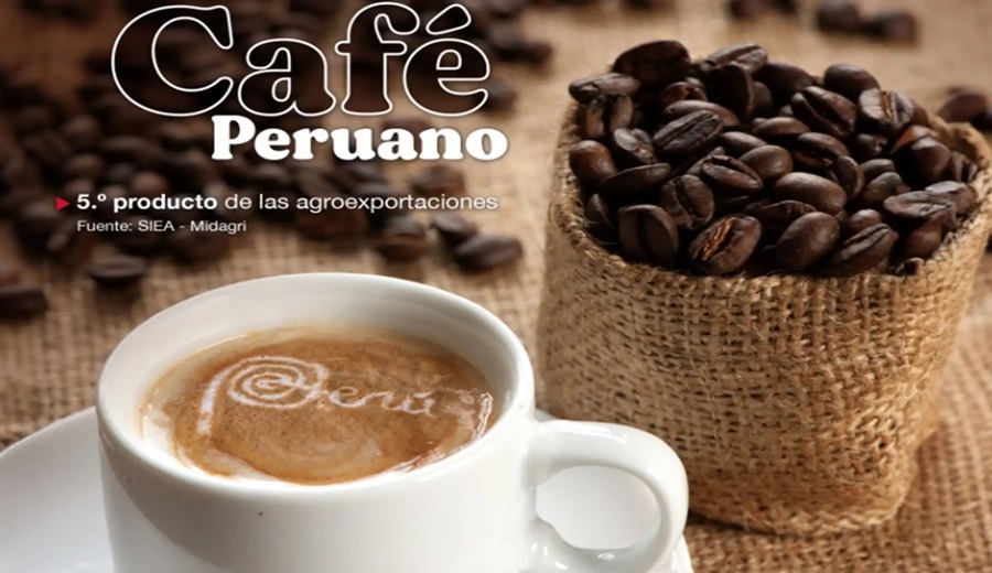 ExpoAmazónica 2025 conoce superalimentos que serán protagonistas y sus atributos