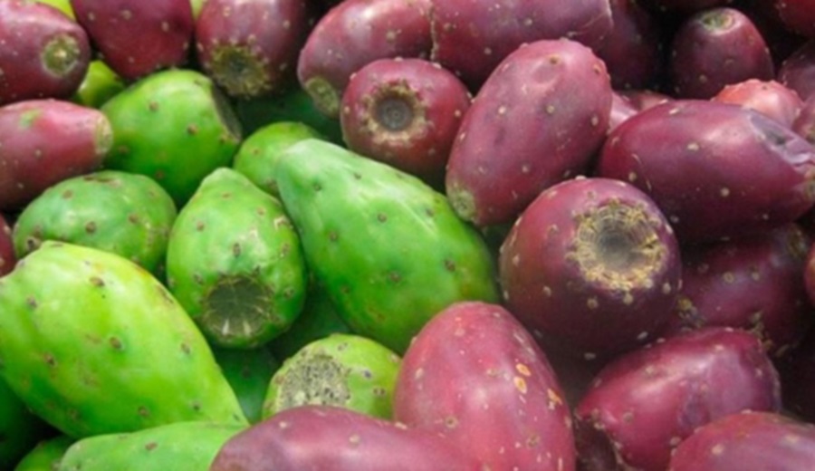 Hoy en los mercados mayoristas hay ofertas, arveja, papa, vainita, plátano, tuna, melón y otros
