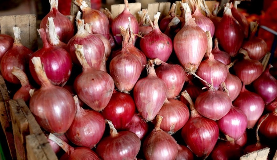 Hubo en los mercados mayoristas oferta de cebolla, camote, olluco, piña, melón, mango y otros