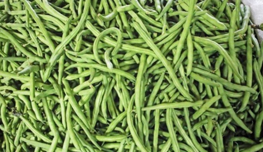 Hubo en los mercados mayoristas ofertas de arveja, vainita, camote, fresa, pepino, sandía y otros