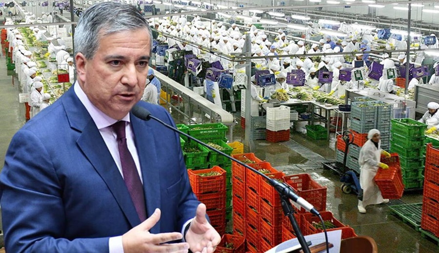 Ley Chlimper 2 0 bajo presión MEF respalda beneficios tributarios a grandes empresas agroexportadoras