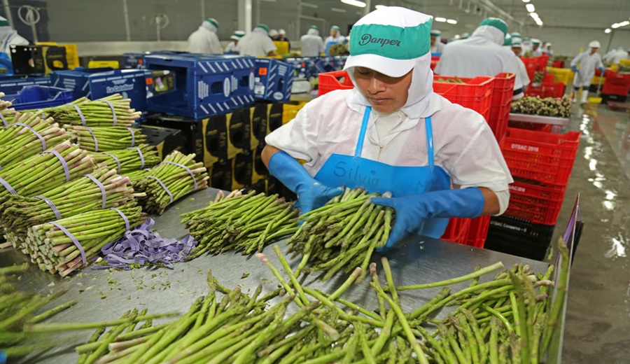 MEF respalda beneficios tributarios al agro, pero pide revisar incentivos a otros sectores