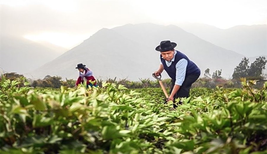Nueva Ley agraria asegura tu propiedad y simplifica trámites. Infórmate y aprovecha los beneficios