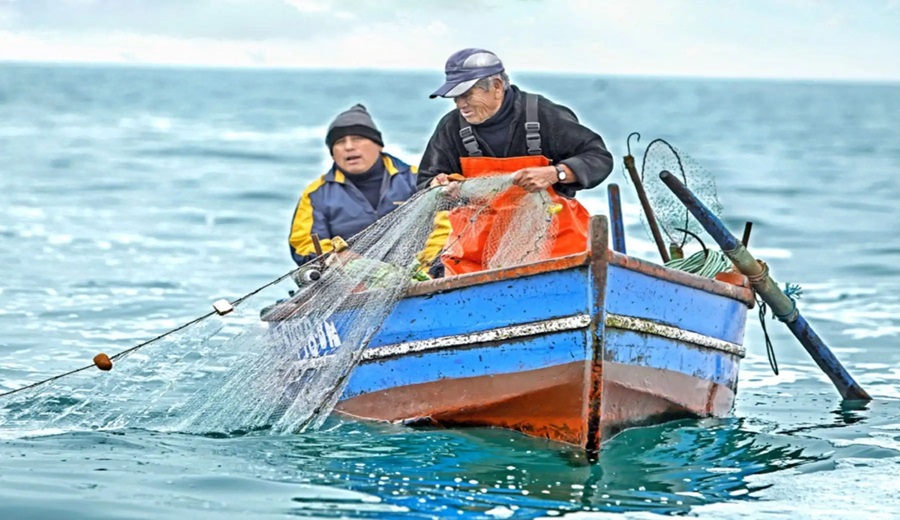 Presupuesto 2026 para impulsar la pesca, acuicultura y las mype asciende a 752 millones