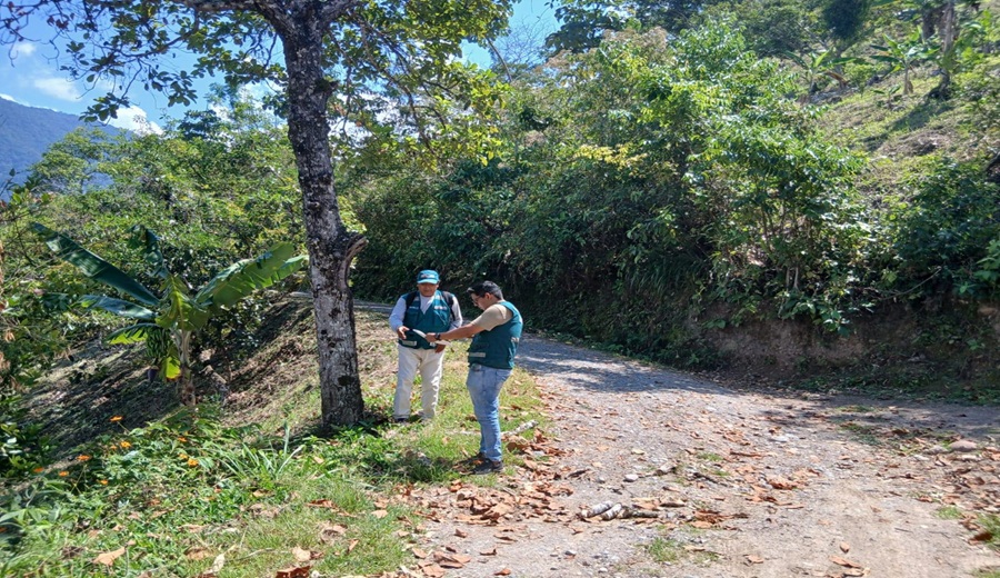 SERFOR Actualización de plataforma GEOSERFOR facilitará la gestión de contratos de cesión en uso para sistemas agroforestales CCUSAF