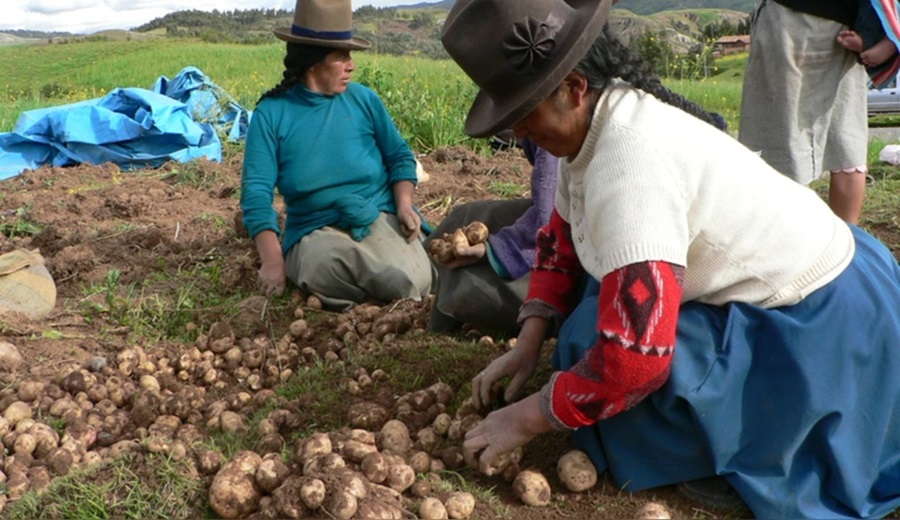 Se promulga la Ley Agraria Cuáles son los beneficios para las empresas y los pequeños productores
