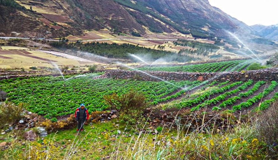 Uso eficiente del agua la Ley 32437 promueve inversión, tecnificación y expansión agrícola