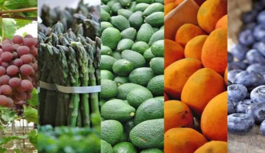 BCR envíos no tradicionales agropecuarios crecieron 26.6% en agosto