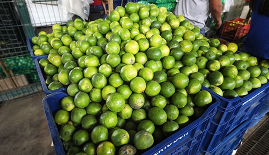 En mercados mayoristas se registro pleno abastecimiento con más 11 mil toneladas de productos