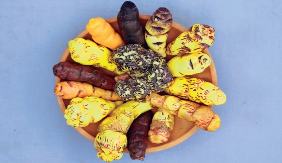 Día Mundial de la Alimentación conoce el valioso aporte del Perú y sus superalimentos