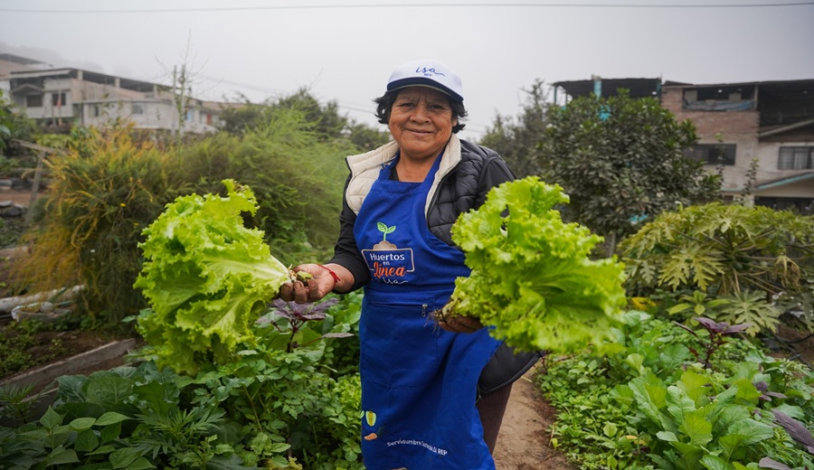 Día de la AlimentaciónConoce cómo los Huertos en Línea promueve la alimentación sostenible