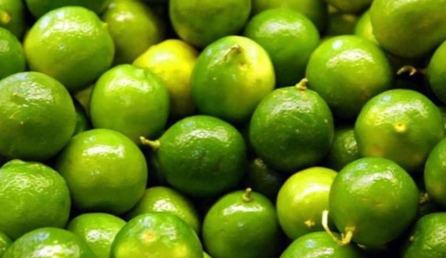 El limón sigue caro producción se recupera, pero precios aún no bajan