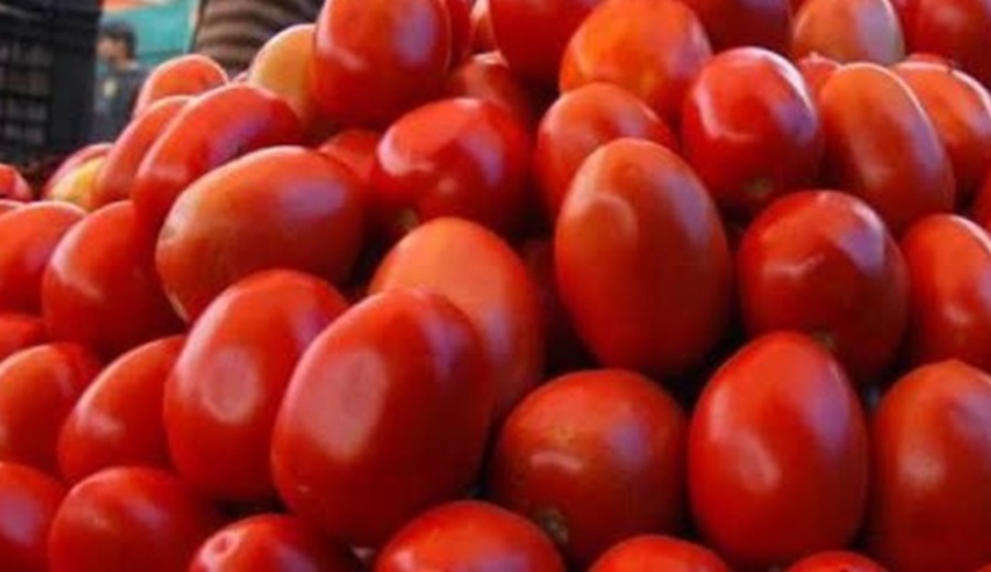 En los mercados mayoristas hubo ofertas de choclo, tomate, papa, sandía, mango, tuna y otros