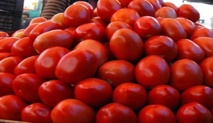 En los mercados mayoristas hubo ofertas de haba, cebolla, tomate, plátano, palta, manzana y otros