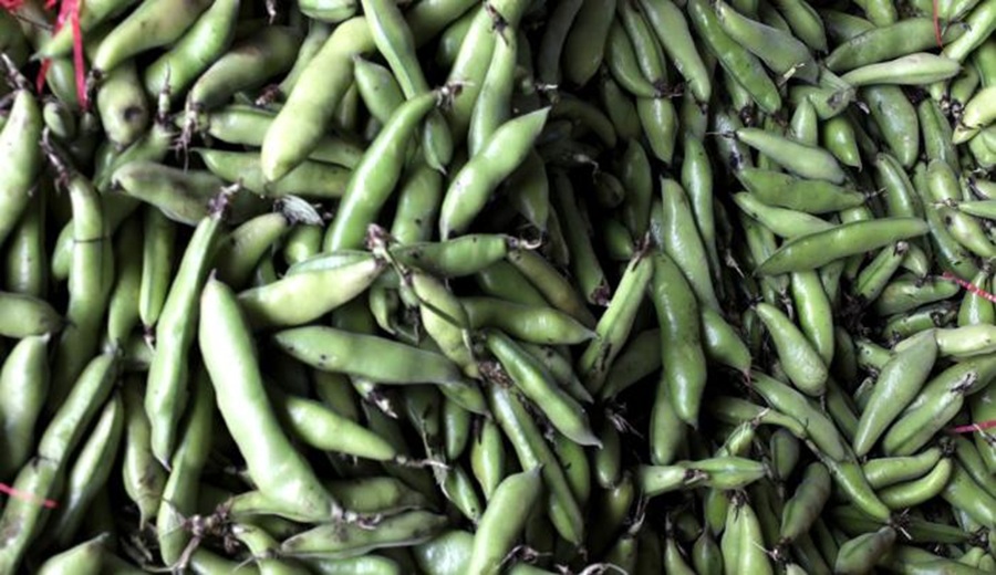 Hoy en los mercados mayoristas hay ofertas de arveja, haba, zanahoria, melón, piña y otros