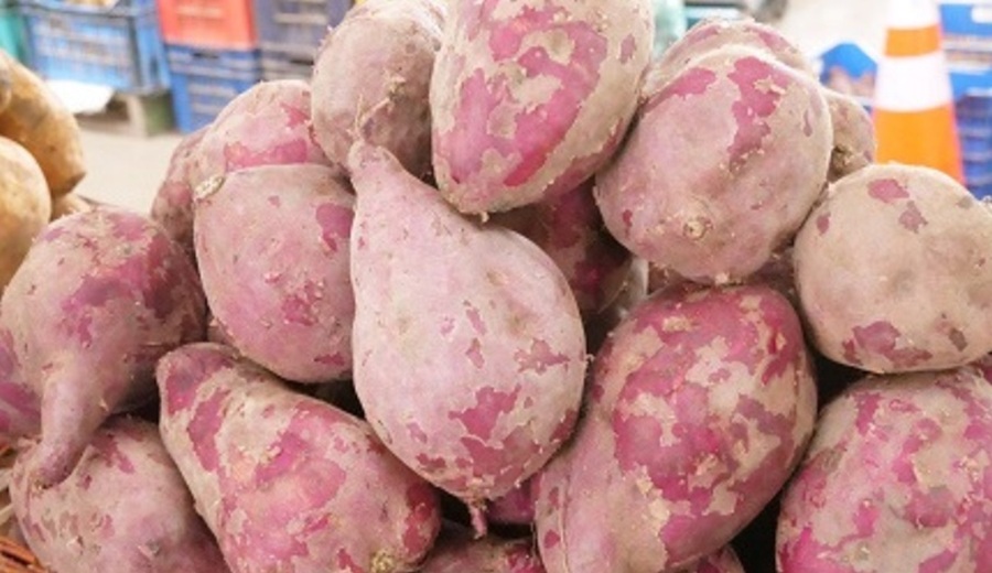 Hoy en los mercados mayoristas hay ofertas de vainita, camote, papa, sandía, tuna, palta y otros