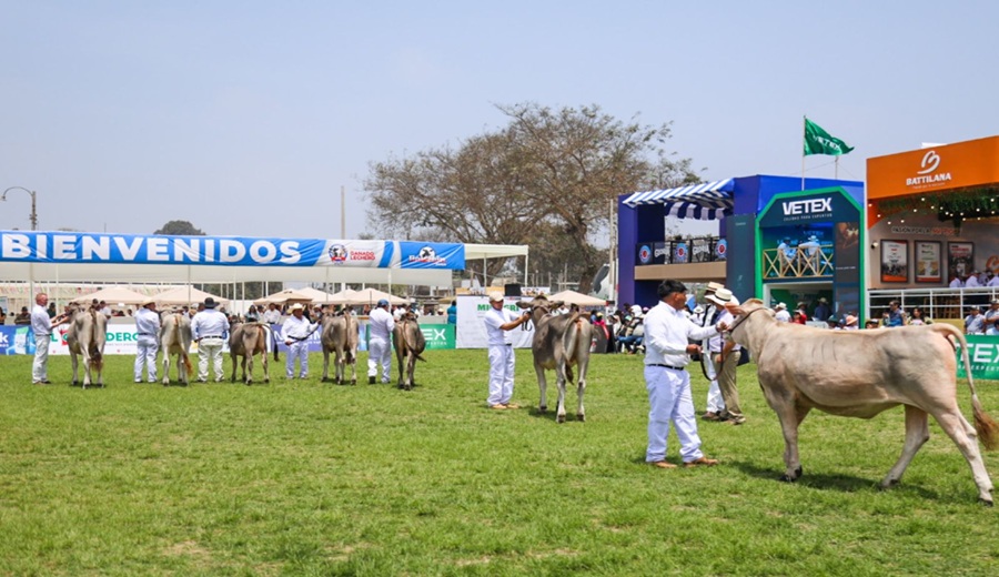 MIDAGRI inaugura XI Feria Nacional de Ganado Lechero de Raza Holstein y Brown Swiss