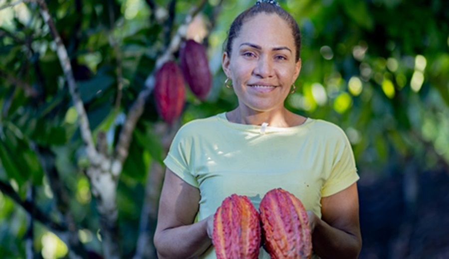 MIDAGRI trabaja con más de 100 mil agricultores quienes sostienen la producción de cacao en el Perú