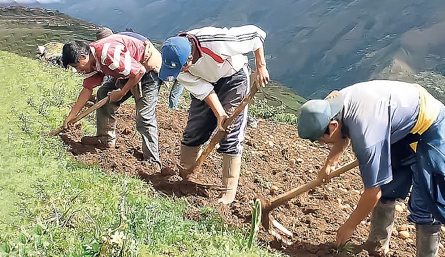 PBI de Perú disminuyó su ritmo de crecimiento por tercer mes consecutivo en agosto