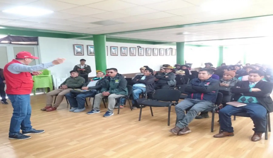 Produce identifica brechas tecnológicas en la cadena textil de camélidos en Huancavelica