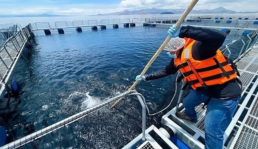 Acuicultura una industria clave para la seguridad alimentaria y el desarrollo sostenible del Perú