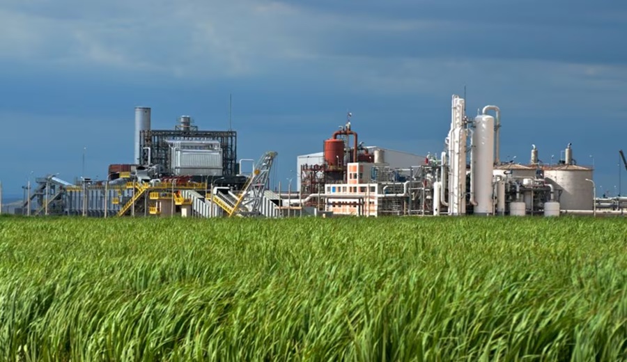 Agroaurora, del Grupo Gloria, construirá la mayor planta solar agroindustrial en Sullana