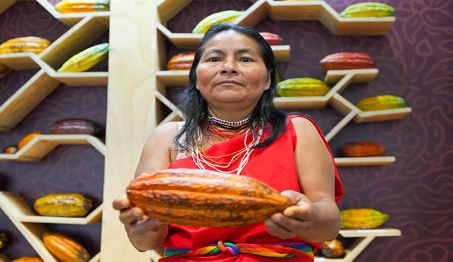 Agrobiodiversidad Perú conserva más del 72 % del material genético mundial del cacao