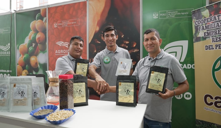 Amazonas Gobierno fortalece cadena cafetalera en FICAFÉ 2025 para expandir presencia en más mercados