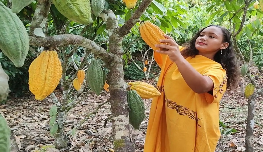 Emblema de peruanidad y calidad global: ¿Dónde nace el cacao del mejor chocolate mundial?