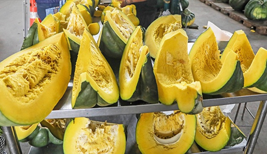 En los mercados mayoristas Hubo ofertas de zapallo, arveja, papa, sandía, manzana, fresa y otros