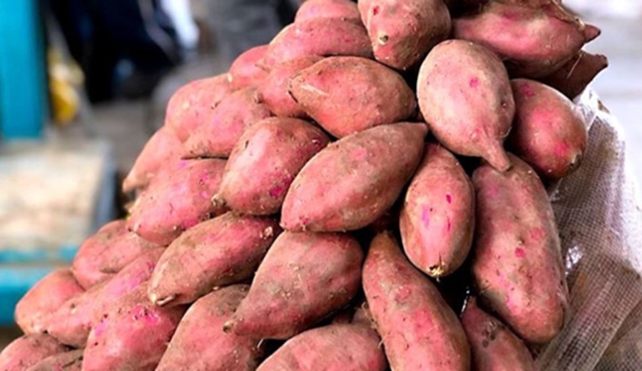 En los mercados mayoristas hay ofertas de tomate, haba, camote, manzana, melón, fresa y otros