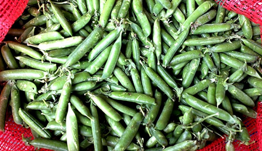 En los mercados mayoristas ofrecieron ofertas de arveja, papa, zapallo, uva, sandía, palta y otros