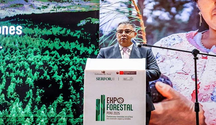 Expo Forestal Perú 2025: Midagri presenta cerca de 11 millones de hectáreas con potencial forestal