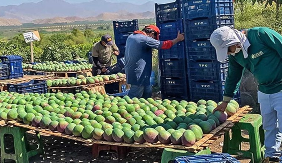 Exportaciones de las regiones subieron 18.7%