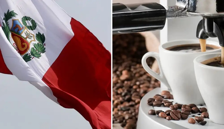 Ficafé 2025 conoce el evento anual que fortalece el sector cafetalero a nivel nacional