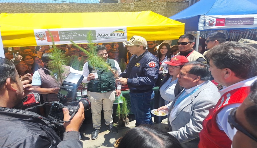 Gobierno entrega 300 mil plantones forestales para recuperar suelos y fortalecer el desarrollo rural en Áncash