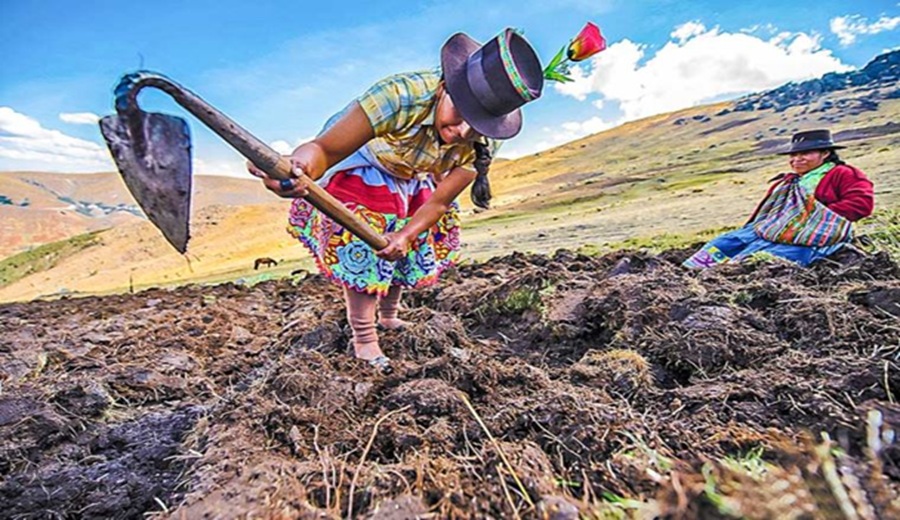 Gobierno publica proyecto de Reglamento para la Elaboración del Plan de Cultivo y Riego