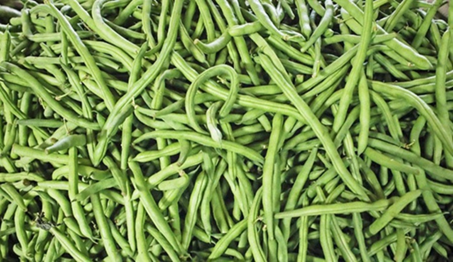 Hoy en los mercados mayoristas hay ofertas de arveja, limón, vainita, mango, melón, sandía y otros