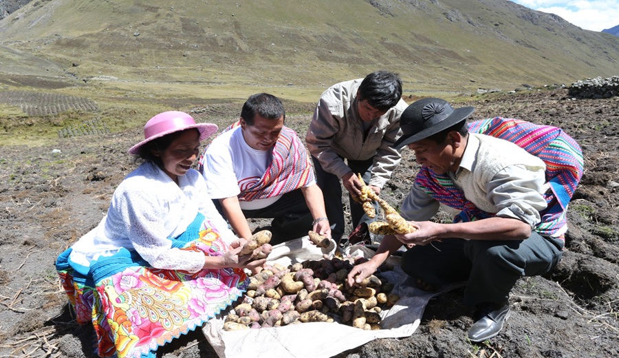 MIDAGRI Crecimiento del sector agropecuario alcanzará los 4,2% al cierre, impulsado por mejores condiciones climáticas