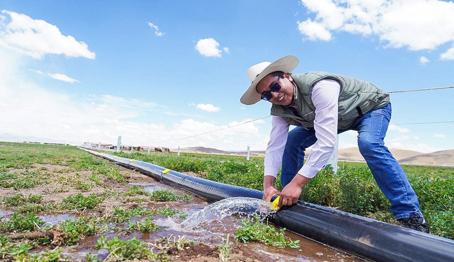 MIDAGRI culmina dos proyectos de riego tecnificado en Puno y eleva la productividad para familias agricultoras