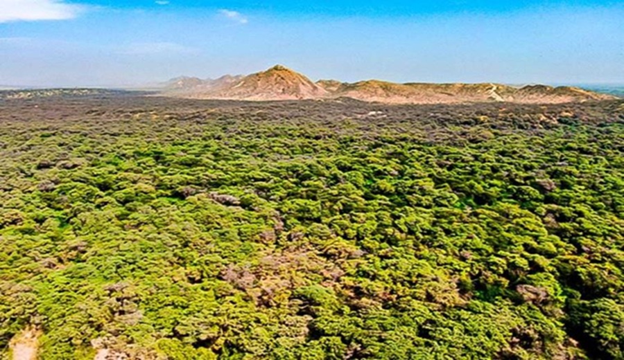 Perú registra ante Convención de NN.UU. metas actualizadas frente al cambio climático