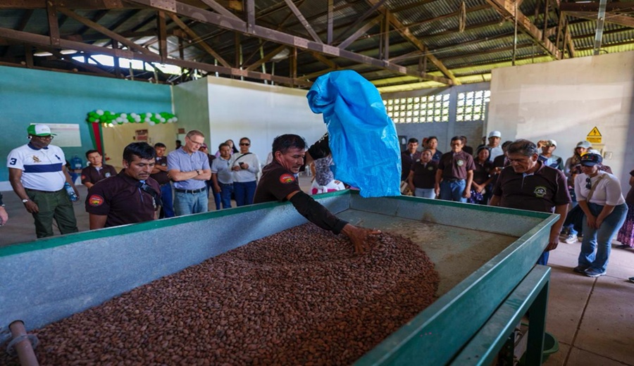 Proyecto Avanzar Rural del MIDAGRI fortalece la agricultura familiar con cofinanciamiento del FIDA