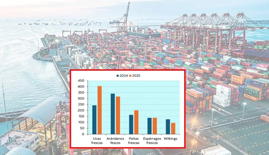 Scotiabank agroexportaciones peruanas sortean el arancel de Trump y suman más de US$1.100 millones a Estados Unidos